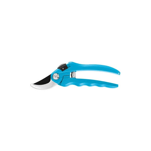 Bypass ar anvil sekatorius